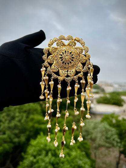 Mehr-e-Zar Sees Phool Jhumar | Tasni Brooch